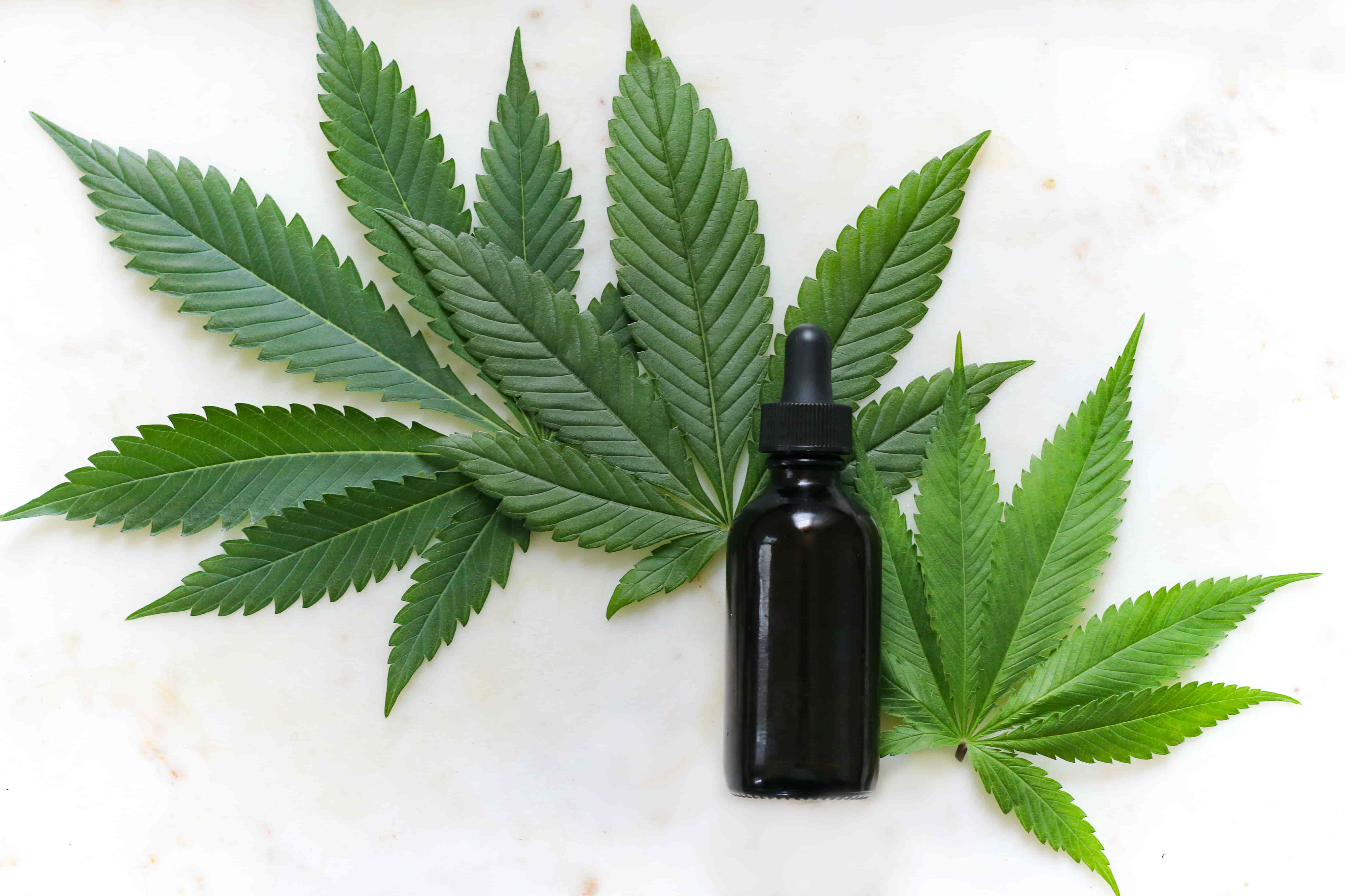 Cannabis Safety Training For Workers