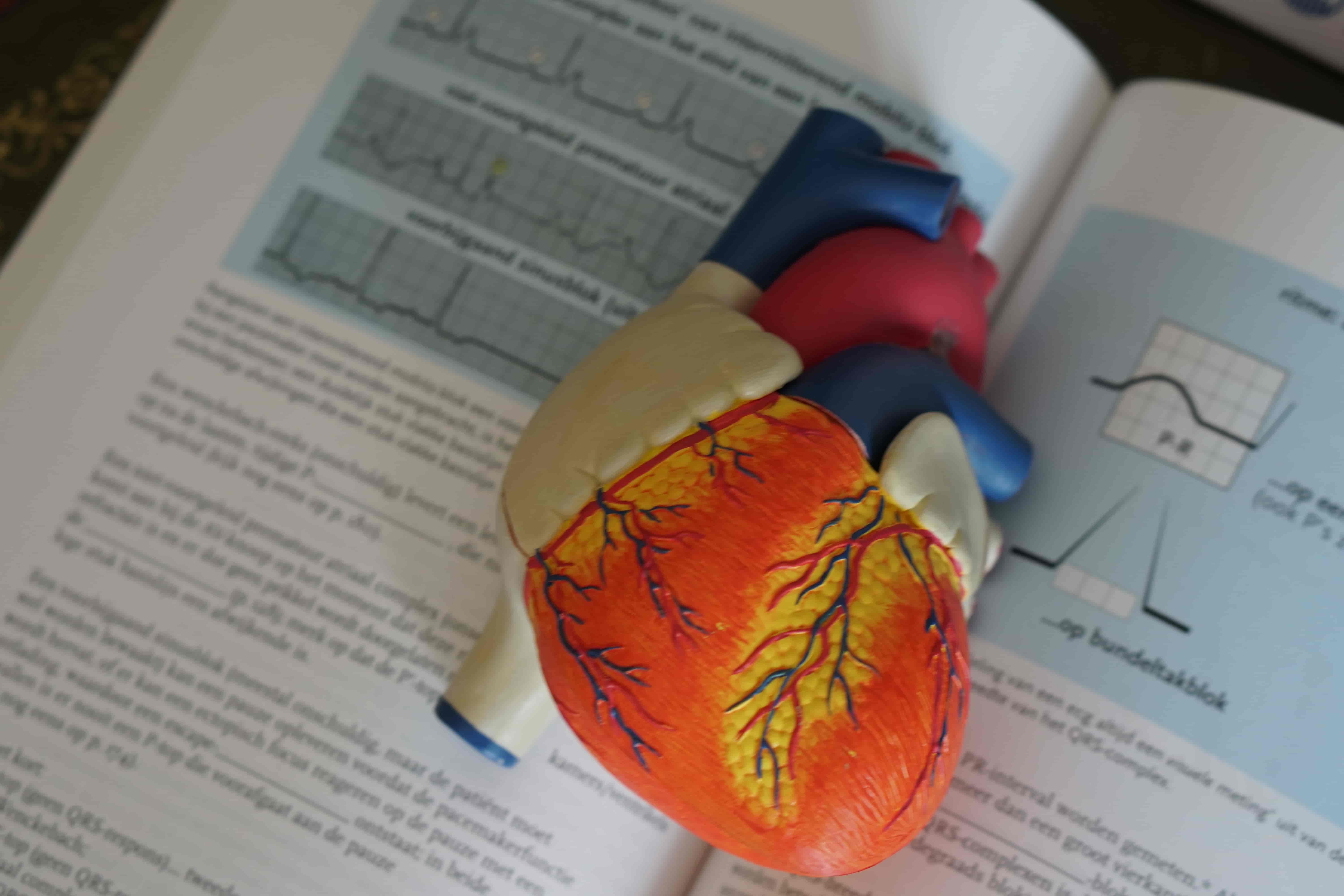 Medical Terminology